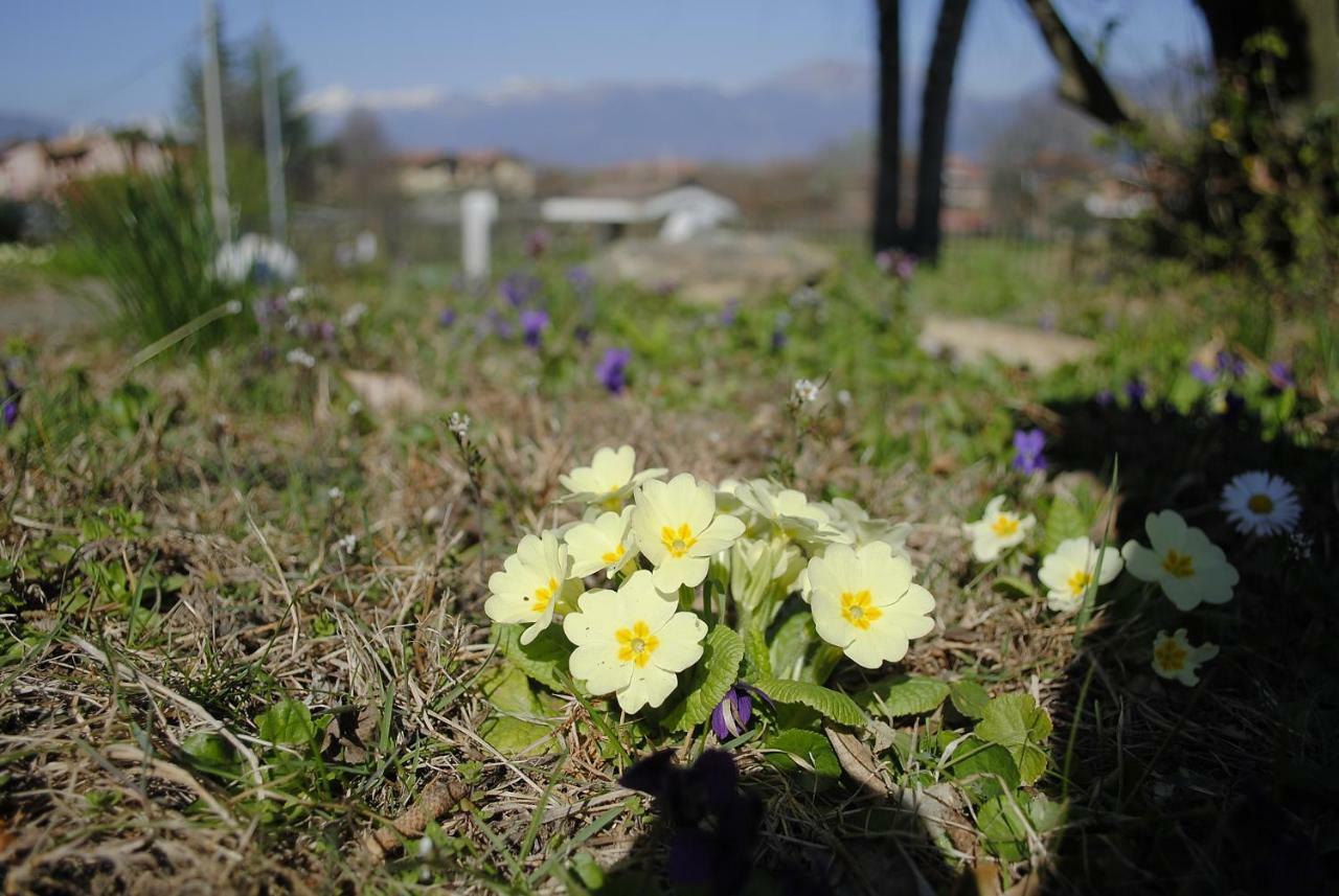 Villa Mirelia Rosta Εξωτερικό φωτογραφία